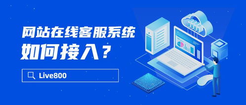 網(wǎng)站在線客服系統(tǒng)與信息系統(tǒng)運(yùn)行維護(hù)服務(wù)的無縫接入策略