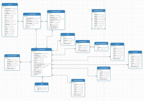 基于SSM框架的非Maven養老院綜合服務管理系統運行維護服務解析